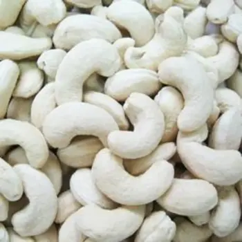 Organic W320 Cashew Nuts 